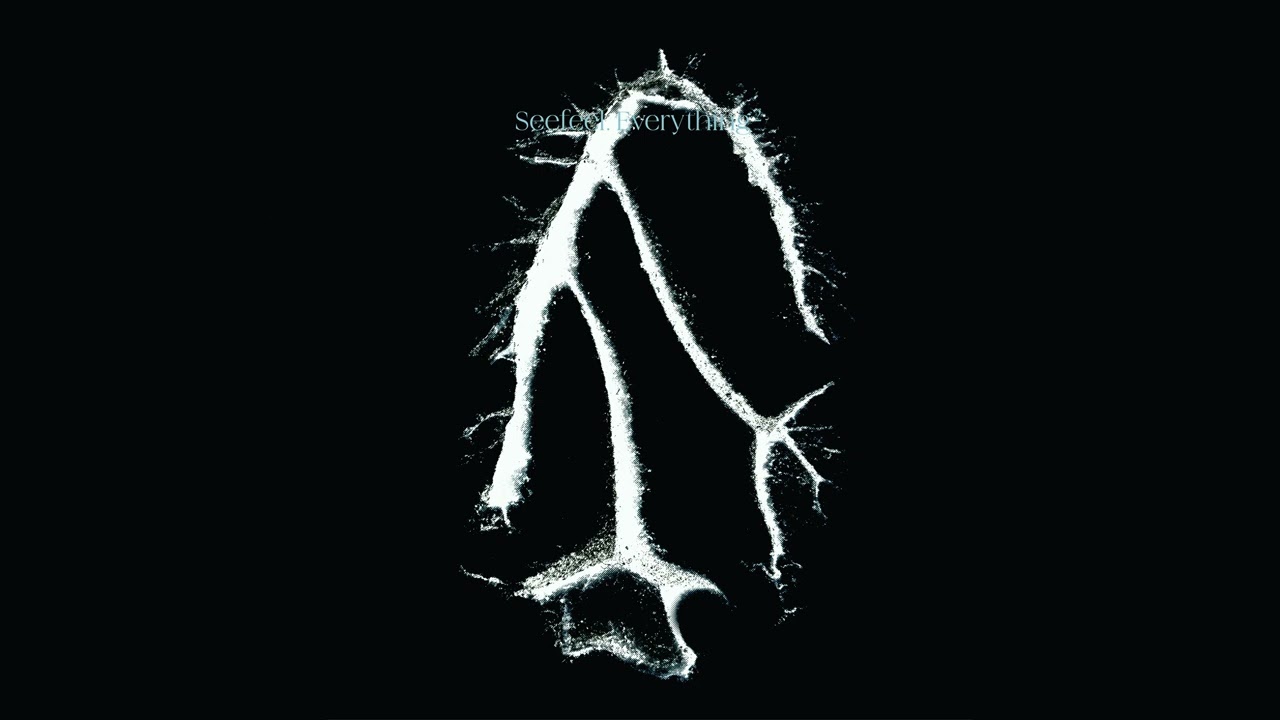 Seefeel - Sky Hooks
