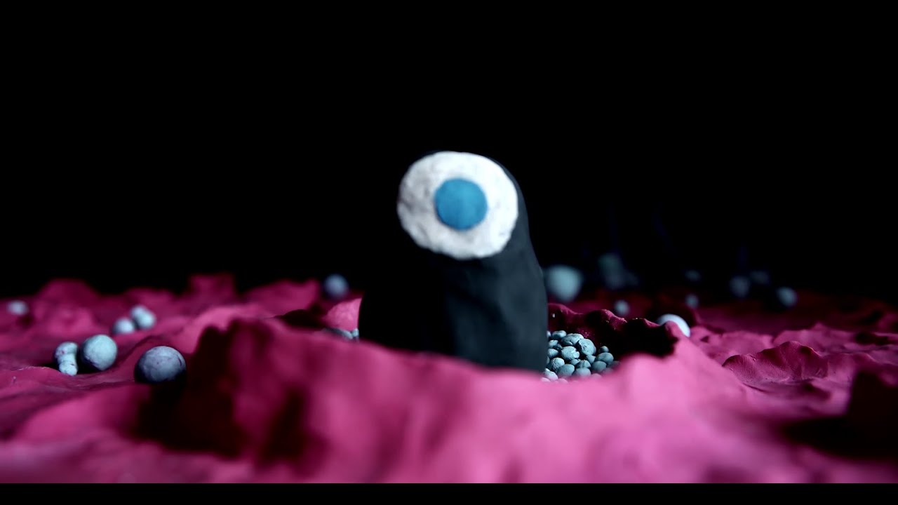 YouTube video player