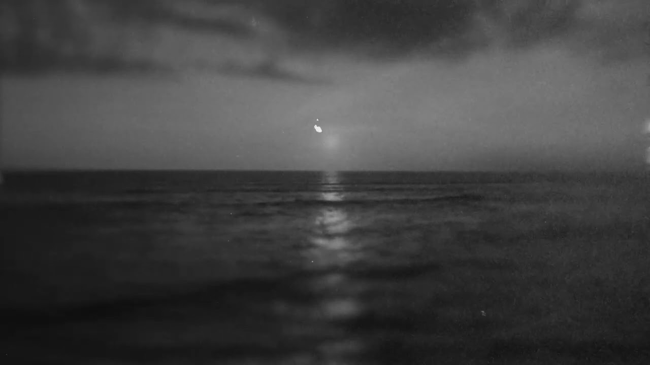 Irmin Schmidt - Requiem (excerpt)