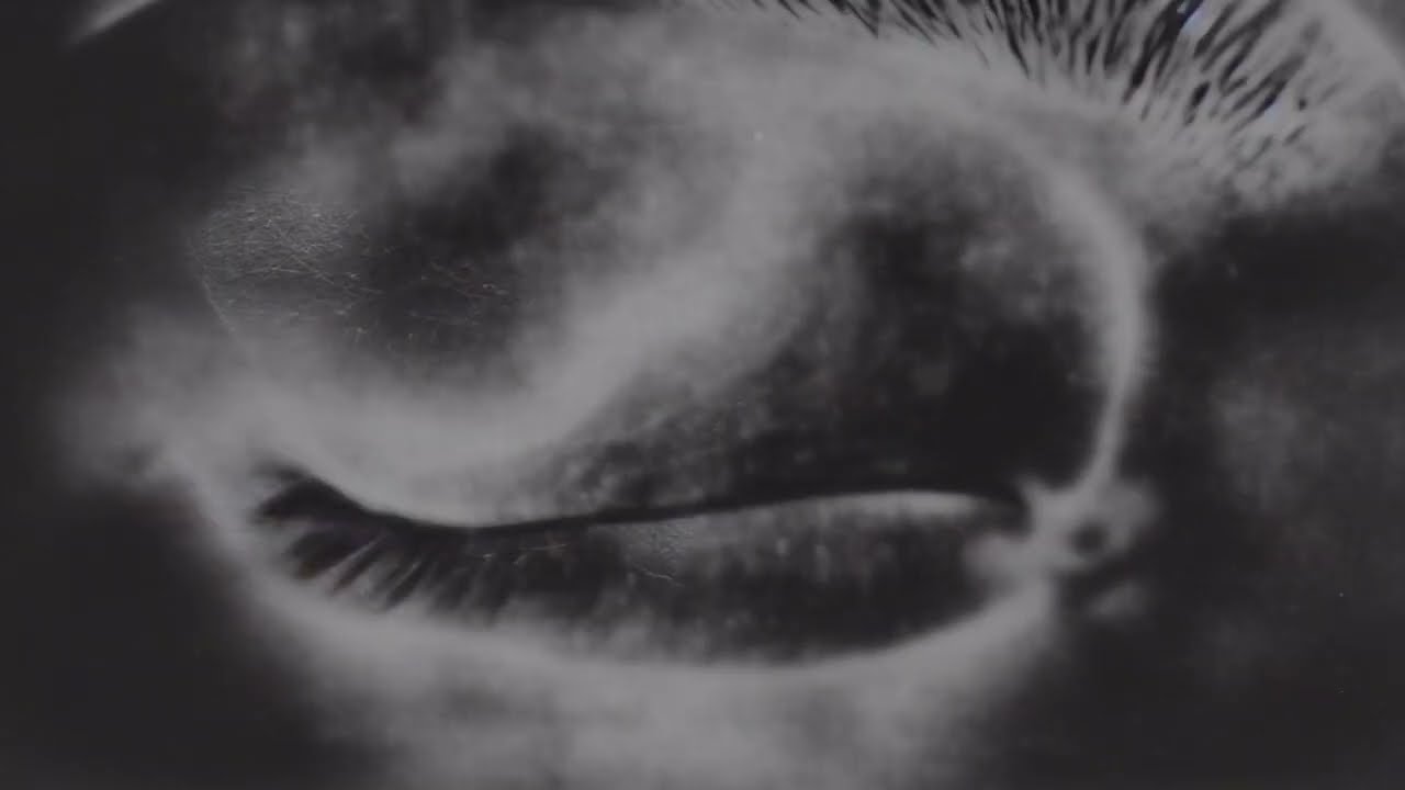 Gazelle Twin - Black Dog